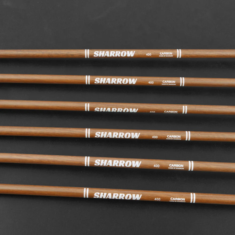 Pure Carbon Arrows 12pcs 31 Inch Spine 340-600 with 5 Inch Turkey Feathers 100 Grain Tips for Compound Recurve Bow Hunting Shooting