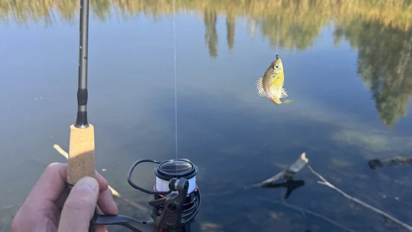 Fishing Reels