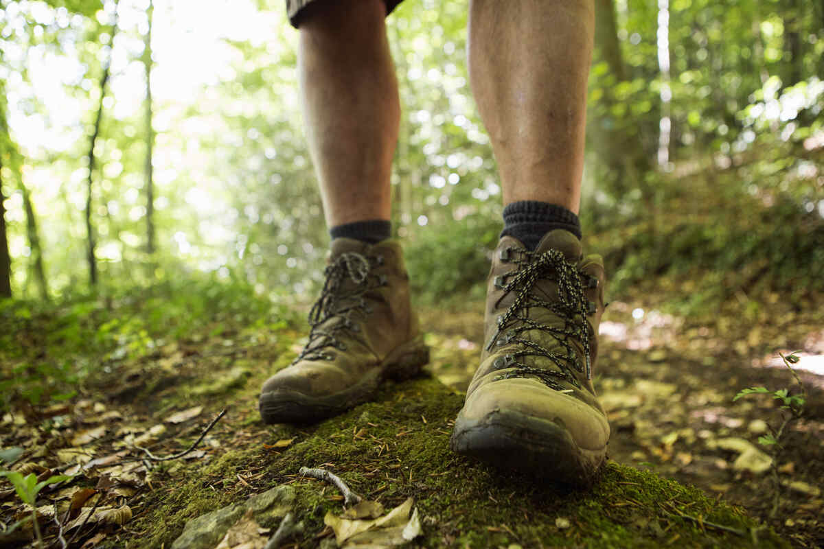 Hiking Boots