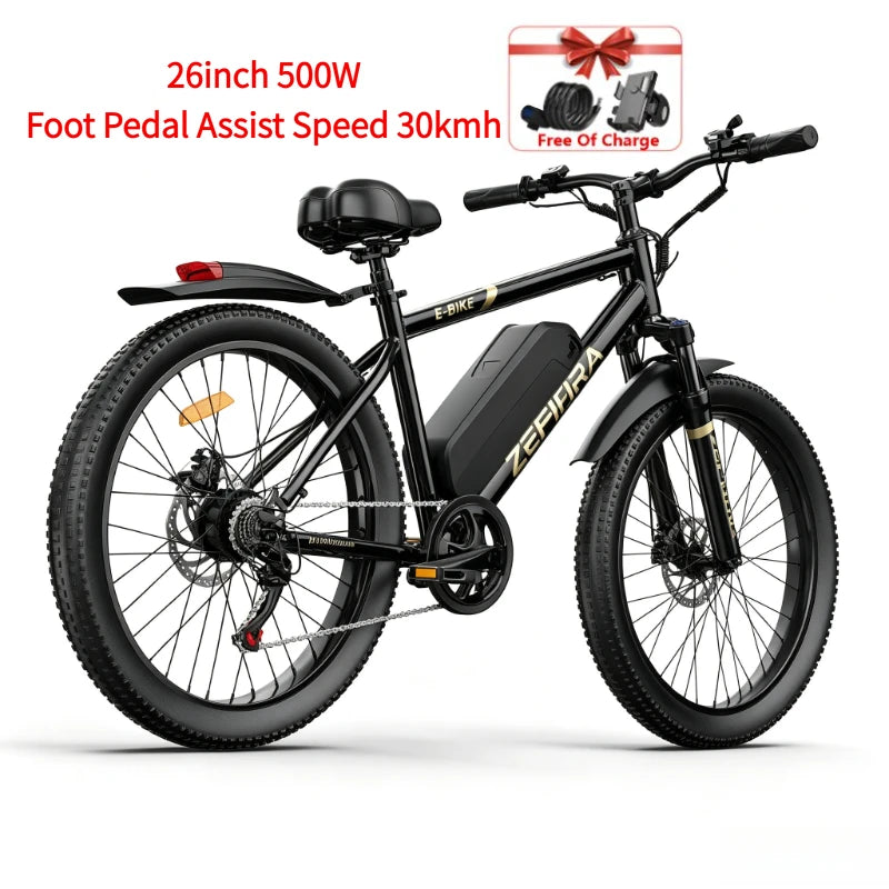 Wild Outdoor Exploration Electric Bike, UL2849 Safety Approved Standard, Factory Original, Free US Local Warehouse Shipping