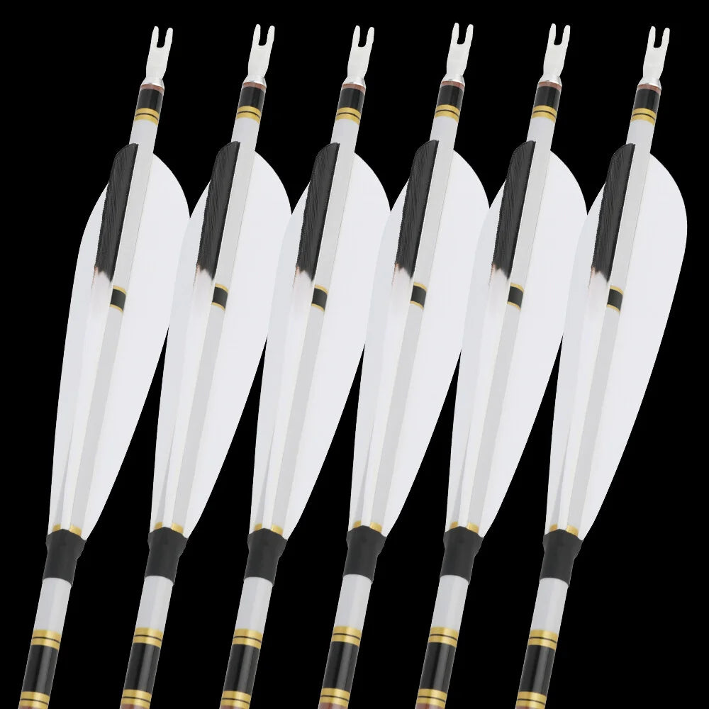 Pure Carbon Arrows 12pcs 31 Inch Spine 340-600 with 5 Inch Turkey Feathers 100 Grain Tips for Compound Recurve Bow Hunting Shooting