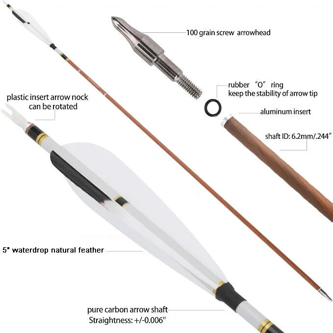Pure Carbon Arrows 12pcs 31 Inch Spine 340-600 with 5 Inch Turkey Feathers 100 Grain Tips for Compound Recurve Bow Hunting Shooting