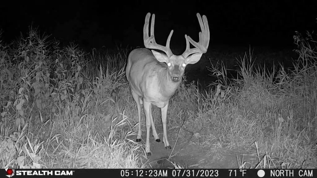 36MP 720P HD 0.4s Trigger Speed Wireless Hunting Trail Camera Dual SIM AT&T Verizon
