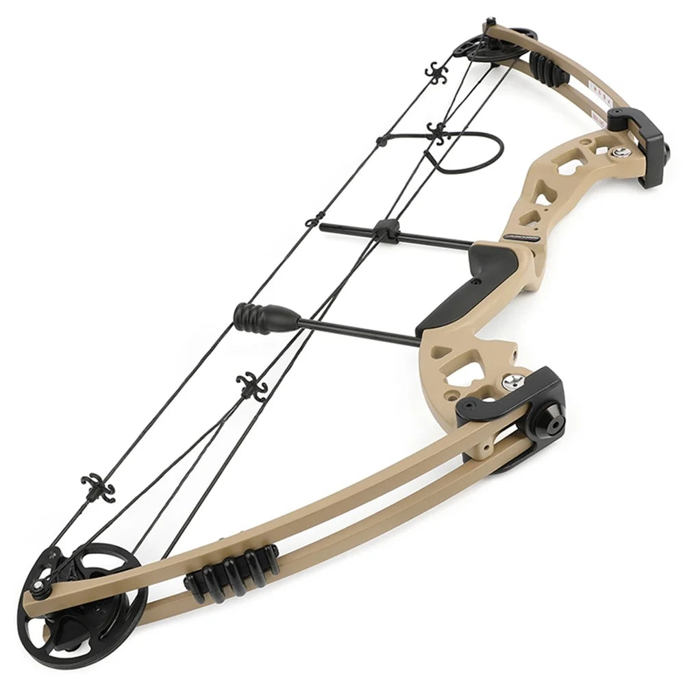 30-55lbs Compound Bow Arrow Set High Strength Alloys Let-off 70% Bow 310FPS Arrow Speed for Right/Left Hand Shooting Hunting Bow