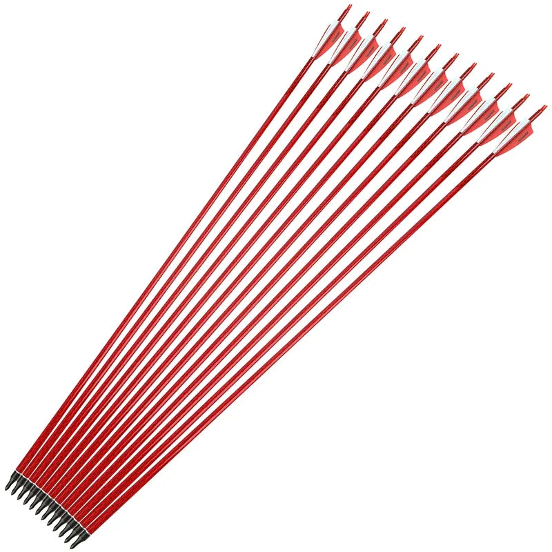 Mixed Carbon Arrows 12pcs 31.5" Spine 500 ID 6.2mm OD 7.8mm with 4" Turkey Feather and 100Grain Arrowheads for Compound Recurve Bow Hunting Shooting Target Practice Durable Archery Accessories