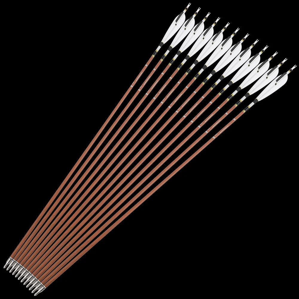 Pure Carbon Arrows 12pcs 31 Inch Spine 340-600 with 5 Inch Turkey Feathers 100 Grain Tips for Compound Recurve Bow Hunting Shooting