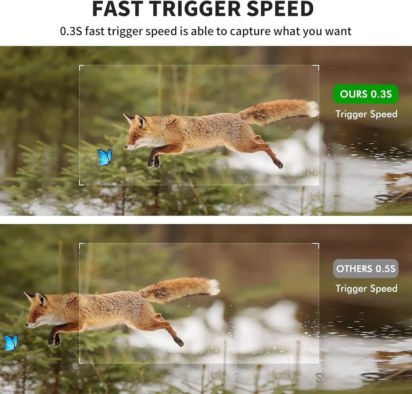 Mini Trail Camera 2 Pack 24MP 1080P HD Game Cam with 32GB SD Cards Waterproof Night Vision Outdoor Wildlife Monitoring