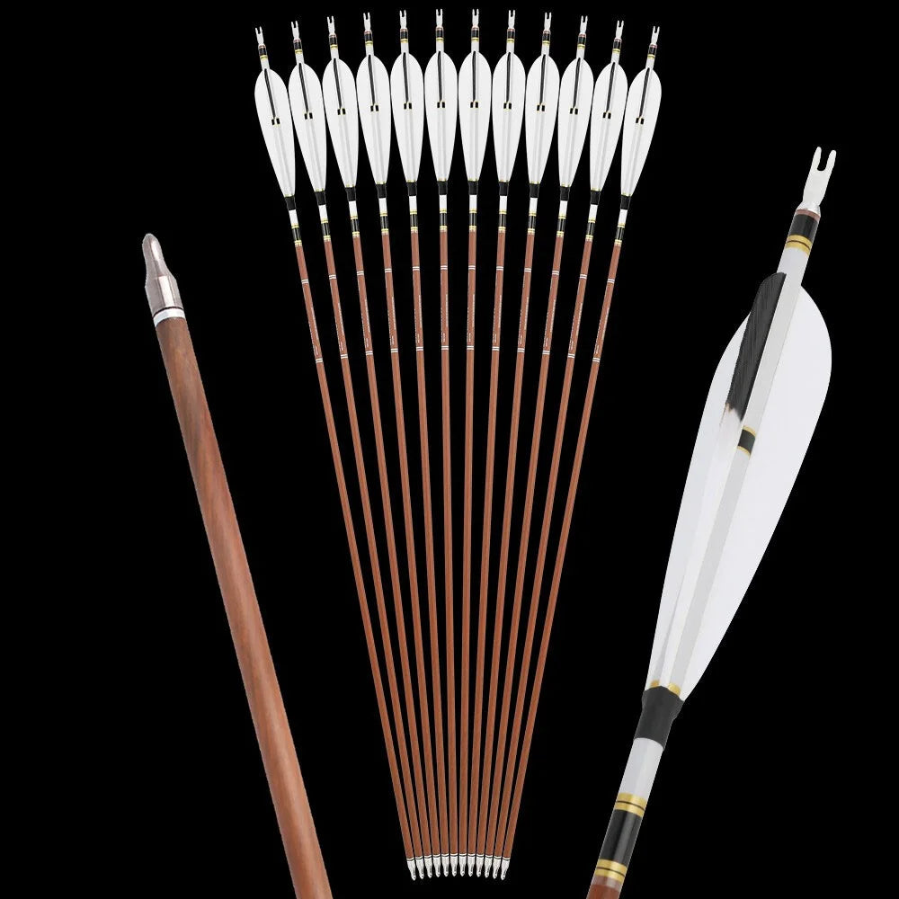 Pure Carbon Arrows 12pcs 31 Inch Spine 340-600 with 5 Inch Turkey Feathers 100 Grain Tips for Compound Recurve Bow Hunting Shooting
