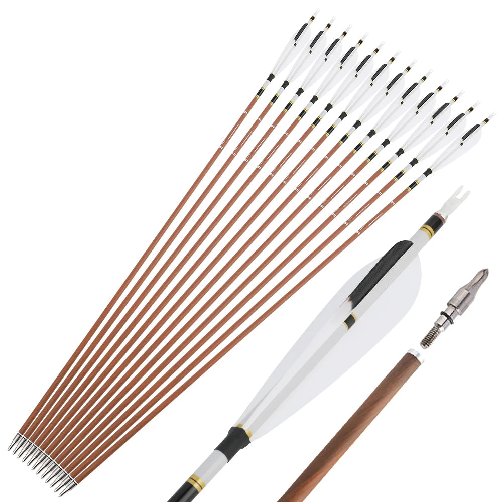 Pure Carbon Arrows 12pcs 31 Inch Spine 340-600 with 5 Inch Turkey Feathers 100 Grain Tips for Compound Recurve Bow Hunting Shooting