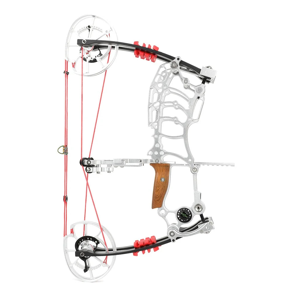 Compound Bow 30-70lbs Adjustable Dual-Purpose 80% Let-off High Speed 420FPS for Hunting Shooting Steel Ball and Target Practice Right Hand Archery