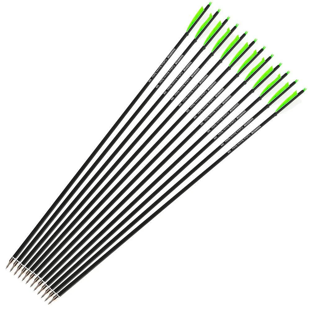 Archery Arrows 12pcs 30 Inch Spine 500 Mixed Carbon with 4" Turkey Feathers 100 Grain Tips for Hunting Target Shooting Practice