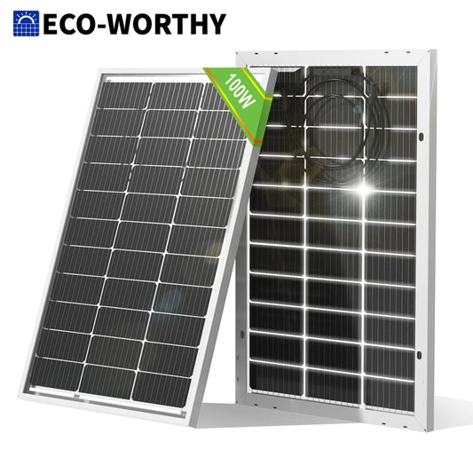 Bifacial 100 Watt 12 Volt Solar Panel Monocrystalline Rigid High-Efficiency PV Module Power Charger for Sunsheds,Rvs