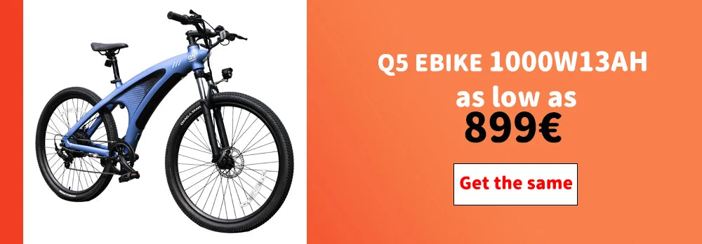 Q5 Electric Bikes for Adults 1000W 48V 13AH Ebikes E Bikes Electric Bicycles 50km/h Electric Dirt Bike Electric E Bikes