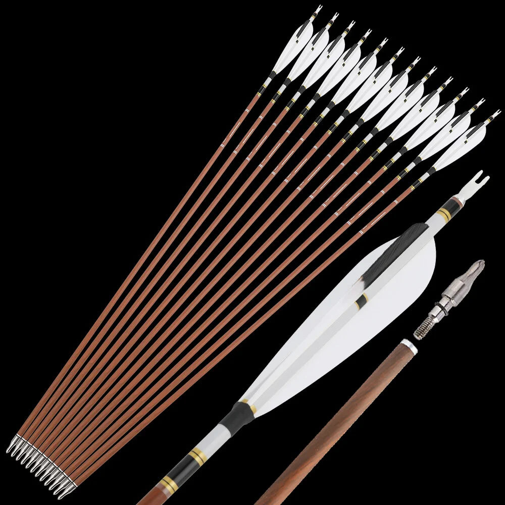 Pure Carbon Arrows 12pcs 31 Inch Spine 340-600 with 5 Inch Turkey Feathers 100 Grain Tips for Compound Recurve Bow Hunting Shooting